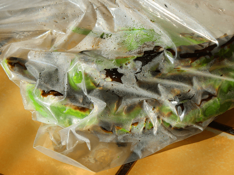 11 Chiles Steaming Plastic Bag
